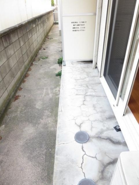 庭