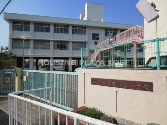 小学校　神戸市立菅の台小学校（小学校）まで829m