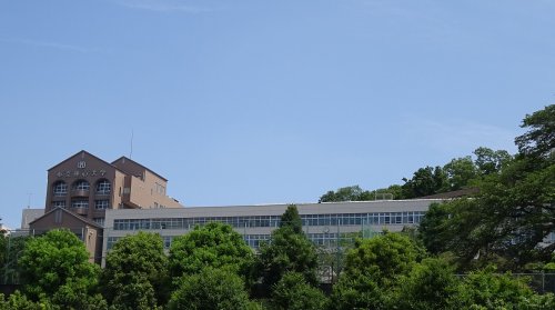 大学・短大　東京純心大学（大学・短大）まで557m