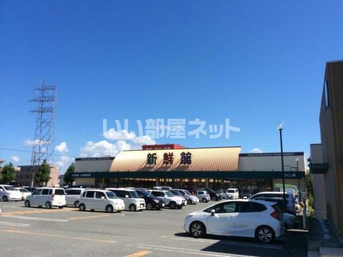スーパー　ハニー新鮮館 つくし野店（スーパー）まで749m