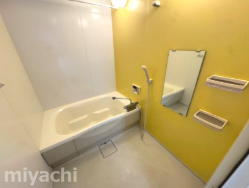 ＪＲ高徳線 阿波川端駅 徒歩31分 2階建 築15年の風呂写真