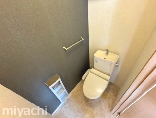 ＪＲ高徳線 阿波川端駅 徒歩31分 2階建 築15年のトイレ写真