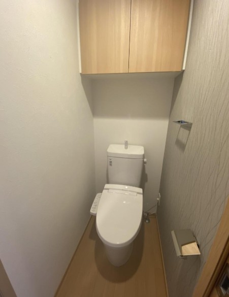 ＪＲ総武線 亀戸駅 徒歩10分 9階建 築4年のトイレ写真
