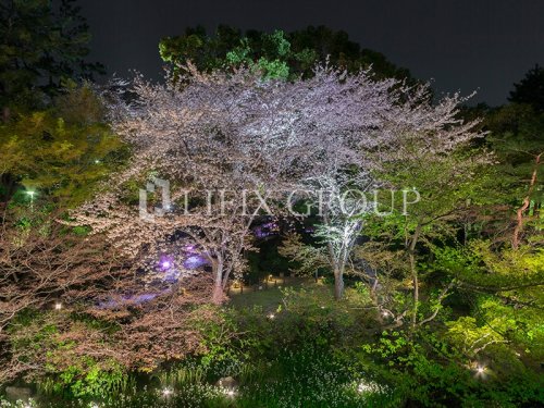 その他　御殿山庭園（その他）まで784m