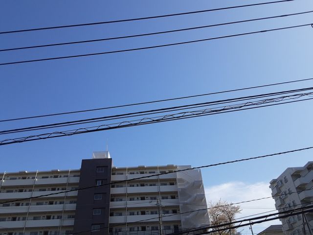 眺望