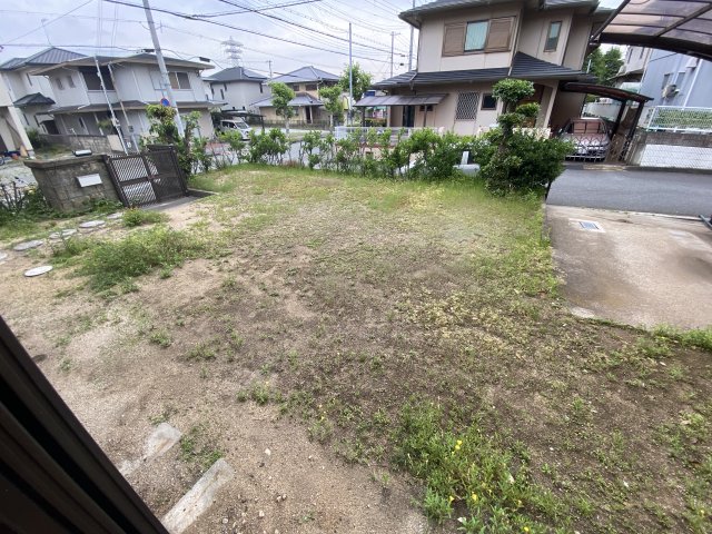 庭