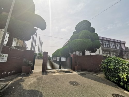 高校・高専　大阪府立登美丘高校（高校・高専）まで1442m