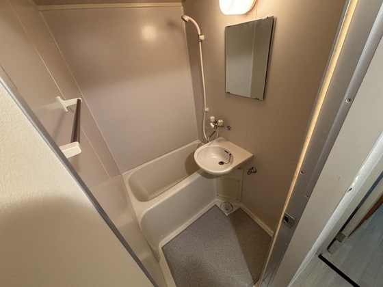 バス・シャワールーム　※別号室の写真です。