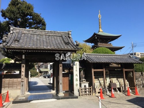 その他　大楽寺（その他）まで262m