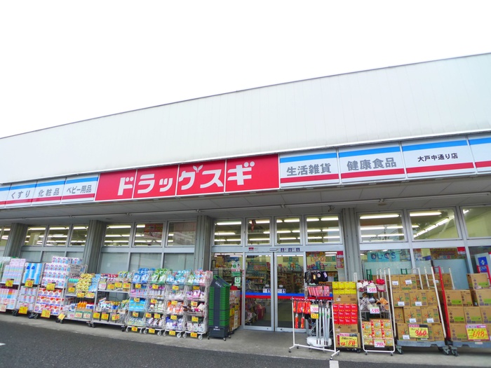 ドラックストア　ドラッグスギ（ドラッグストア）まで220m