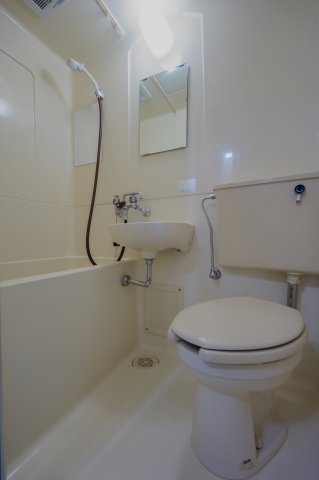 トイレ　同物件・別部屋画像、左右反転タイプ