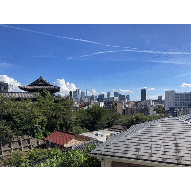 眺望
