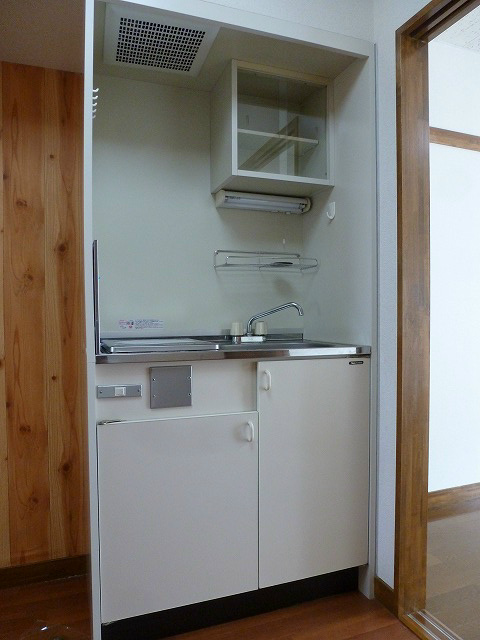 キッチン　写真は別号室です。