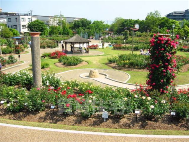 公園　若園公園（公園）まで4015m