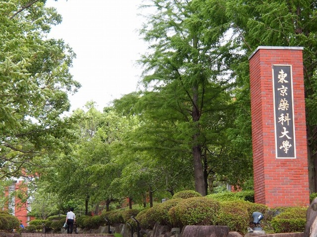 大学・短大　東京薬科大学（大学・短大）まで1239m