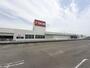 ホームセンター　ＤＣＭ真正店（ホームセンター）まで593m