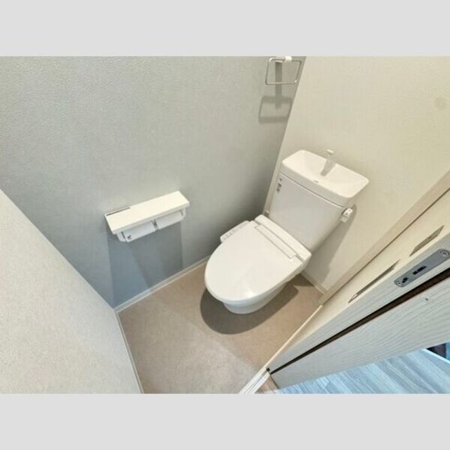 Richesse 一条通のトイレ写真
