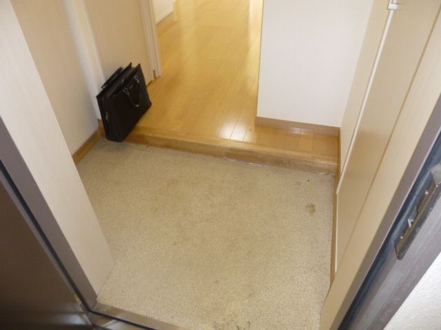 ユリカロゼ西新井駅前の玄関写真