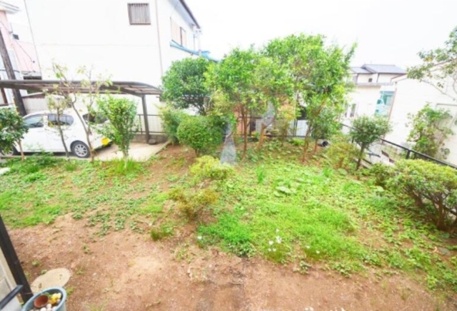庭