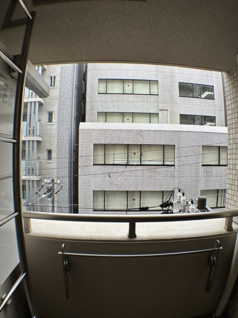 ドルフブランシュブルーのその他写真