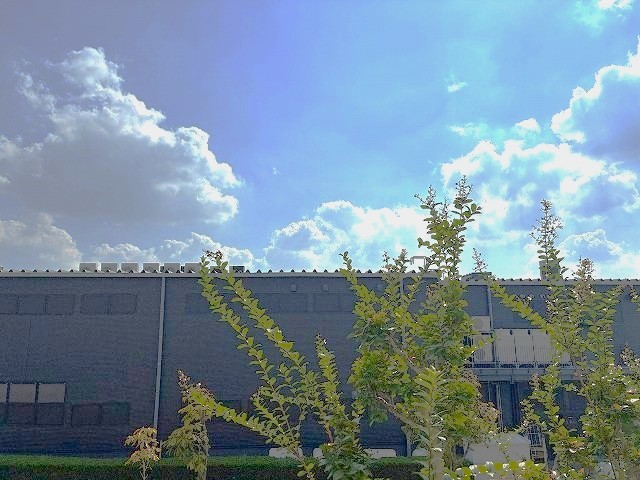 UR日進香久山花の街のその他写真