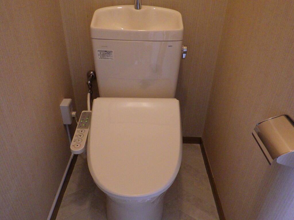 パナハイツ斉藤のトイレ写真