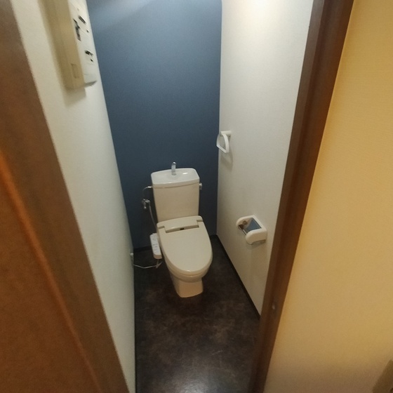 トイレ　※他号室の写真です