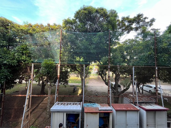 眺望　※別部屋の写真です