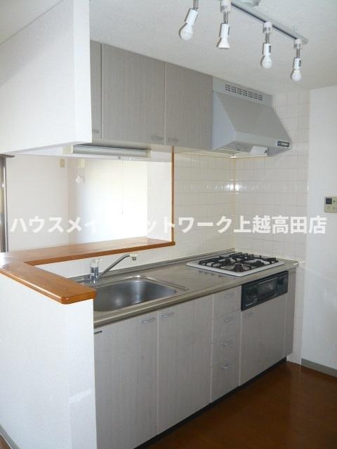 キッチン　キッチン（参考同型Ｂ203号室室内写真）