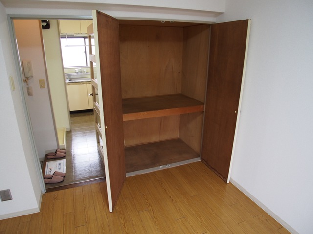 収納　写真は別部屋です