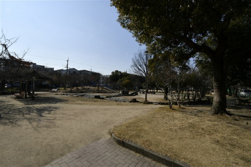 公園　寿公園（公園）まで537m