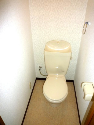 トイレ　※イメージ　同物件別号室の写真