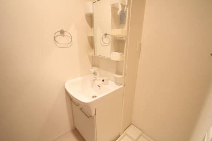 洗面設備　忙しい朝に嬉しいシャワードレッサー