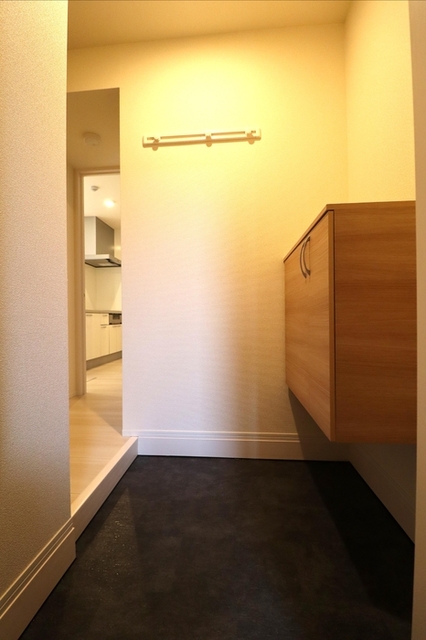 玄関　シューズボックス（カウンタータイプ）