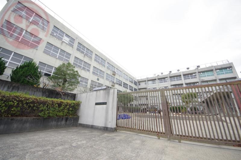小学校　東大阪市立玉串小学校（小学校）まで638m