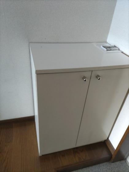 玄関　※別部屋の写真です