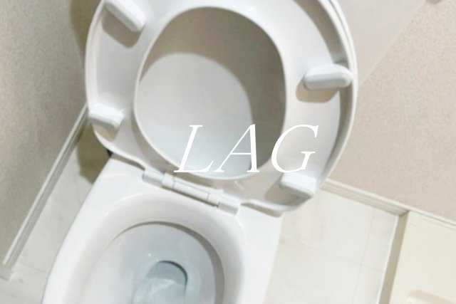 トイレ　トイレです。