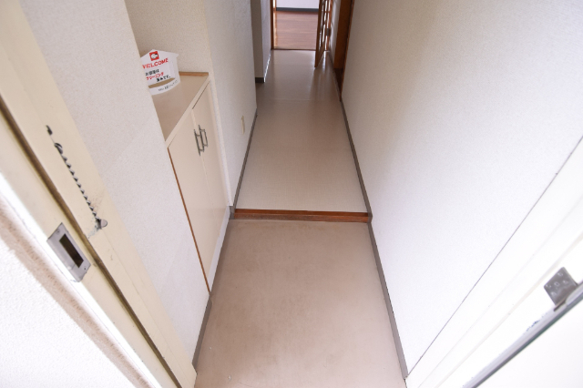 玄関　同一物件、別部屋の写真です。
