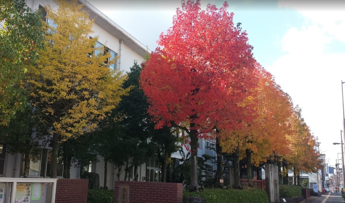 小学校　徳島市立福島小学校（小学校）まで170m