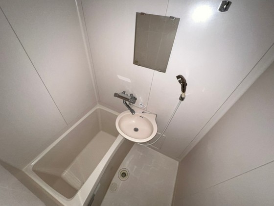 バス・シャワールーム　※別部屋の写真です