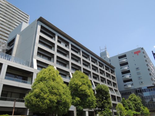 役所　光が丘区民センター（役所）まで910m