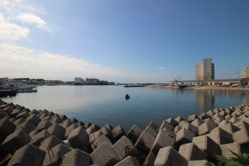 その他　長井港（その他）まで161m