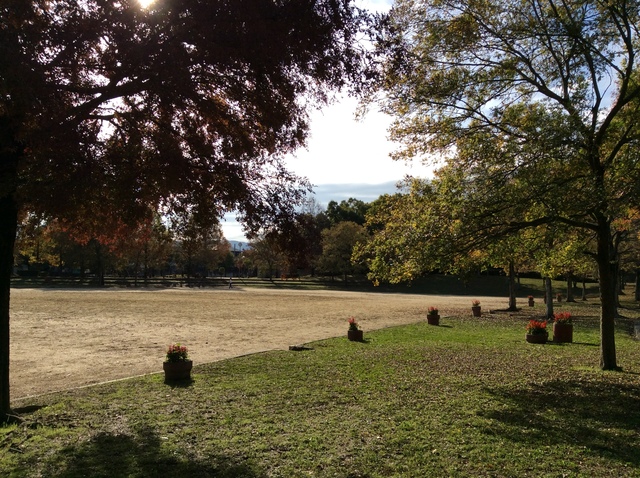 公園　横峯近隣公園（公園）まで269m