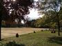公園　横峯近隣公園（公園）まで269m