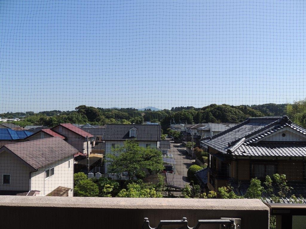 その他　ベランダには鳥よけの防鳥ネットがついています。
