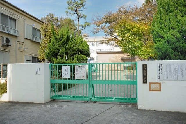 小学校　江戸川区立第四葛西小学校（小学校）まで842m