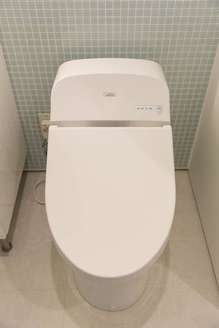 W-HOUSEIIIのトイレ写真