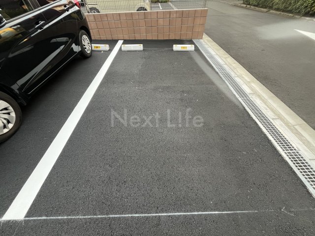 リブリ・ラピスカーサのその他写真