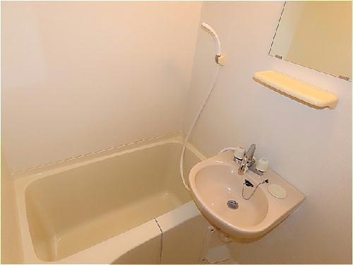 バス・シャワールーム　洗面台とユニット式のお風呂です