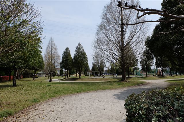 公園　希望ケ丘公園（公園）まで211m
